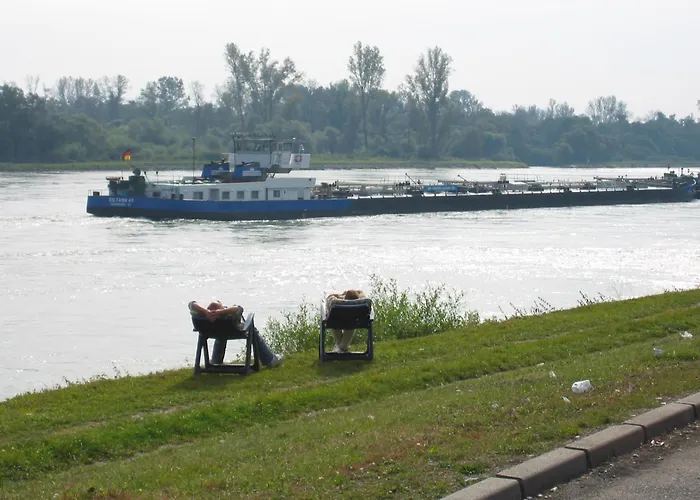 D'accueil Au Pays Rhenan