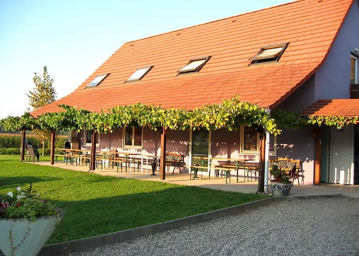 D'accueil Au Pays Rhenan Hotel cápsula